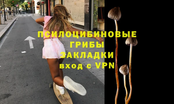 дживик Каменск-Шахтинский