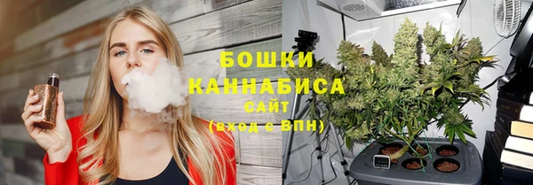 apvp Няндома