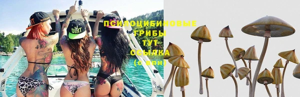 дживик Каменск-Шахтинский
