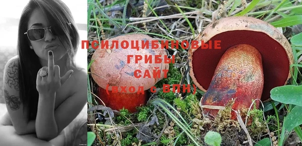 эйфоретик Каменка