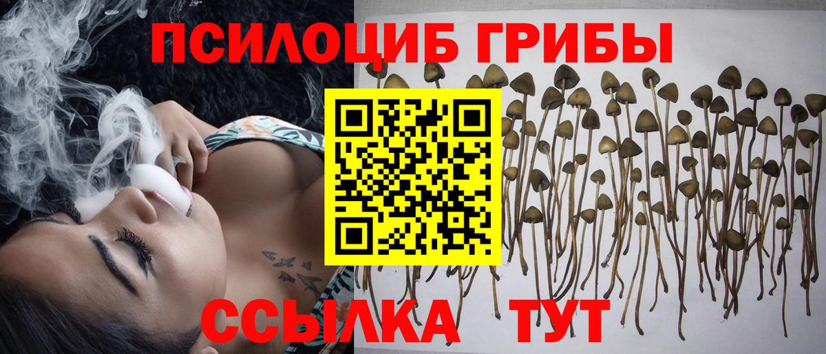 Псилоцибиновые грибы ЛСД  Вход с VPN  Люберцы 